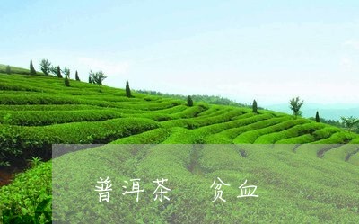 普洱茶 贫血/2023042852761